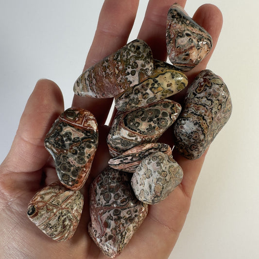 Jaspis leopard lommesten 1 kg.