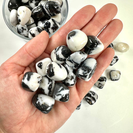 Marmor zebra lommesten