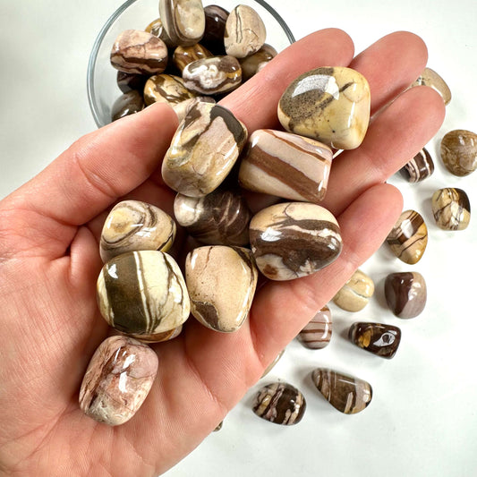 Jaspis cappucino lommesten