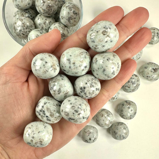 Jaspis kiwi lommesten