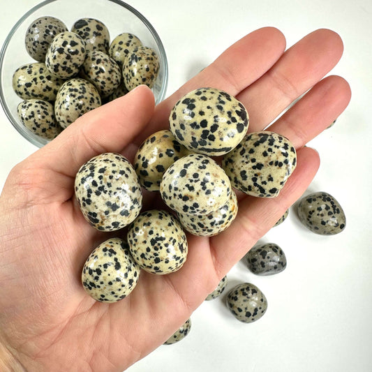 Jaspis dalmatiner lommesten