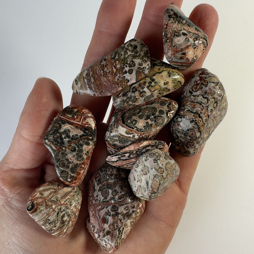 Jaspis leopard lommesten 1 kg.