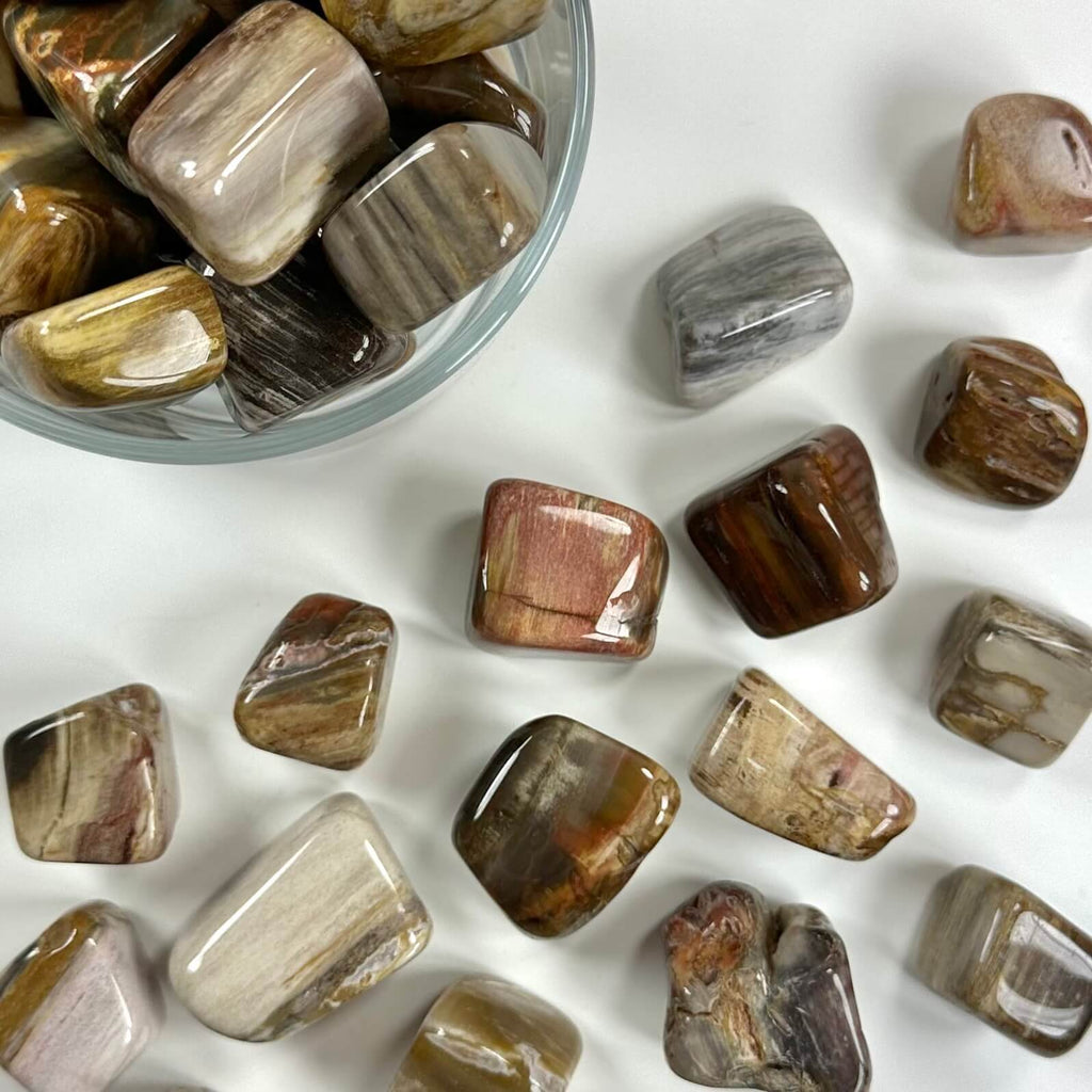 Forstenet træ lommesten