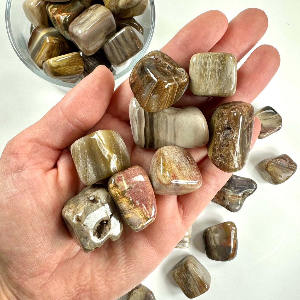 Forstenet træ lommesten