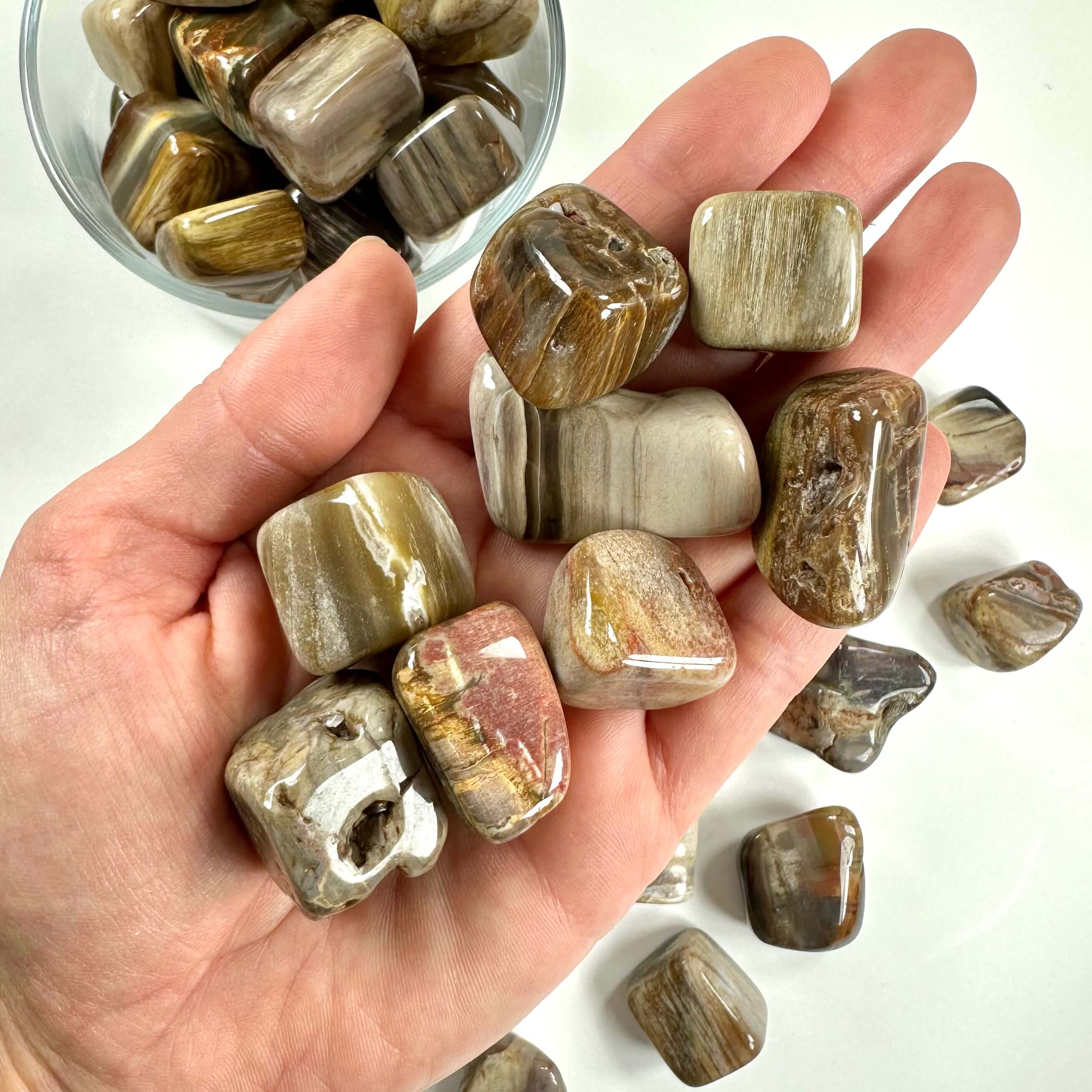 Forstenet træ lommesten