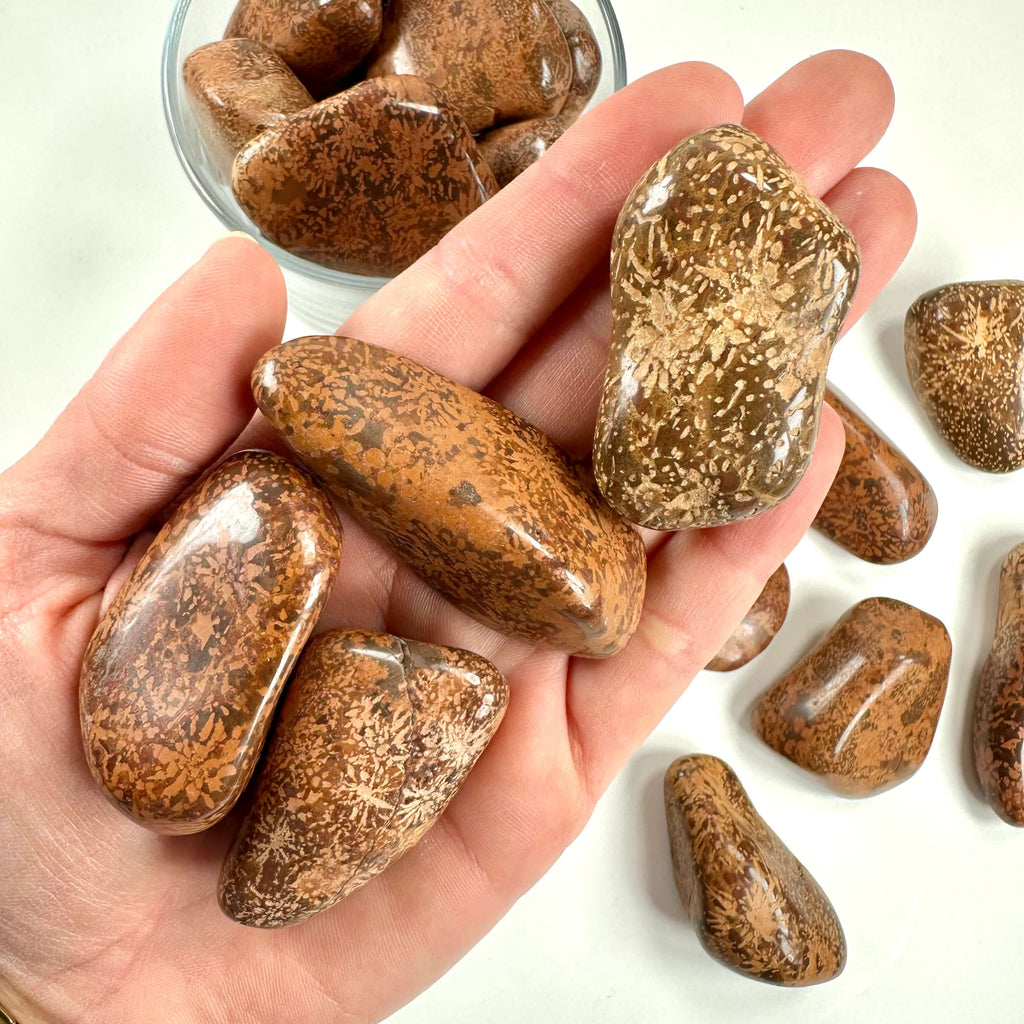 Jaspis stjerne lommesten